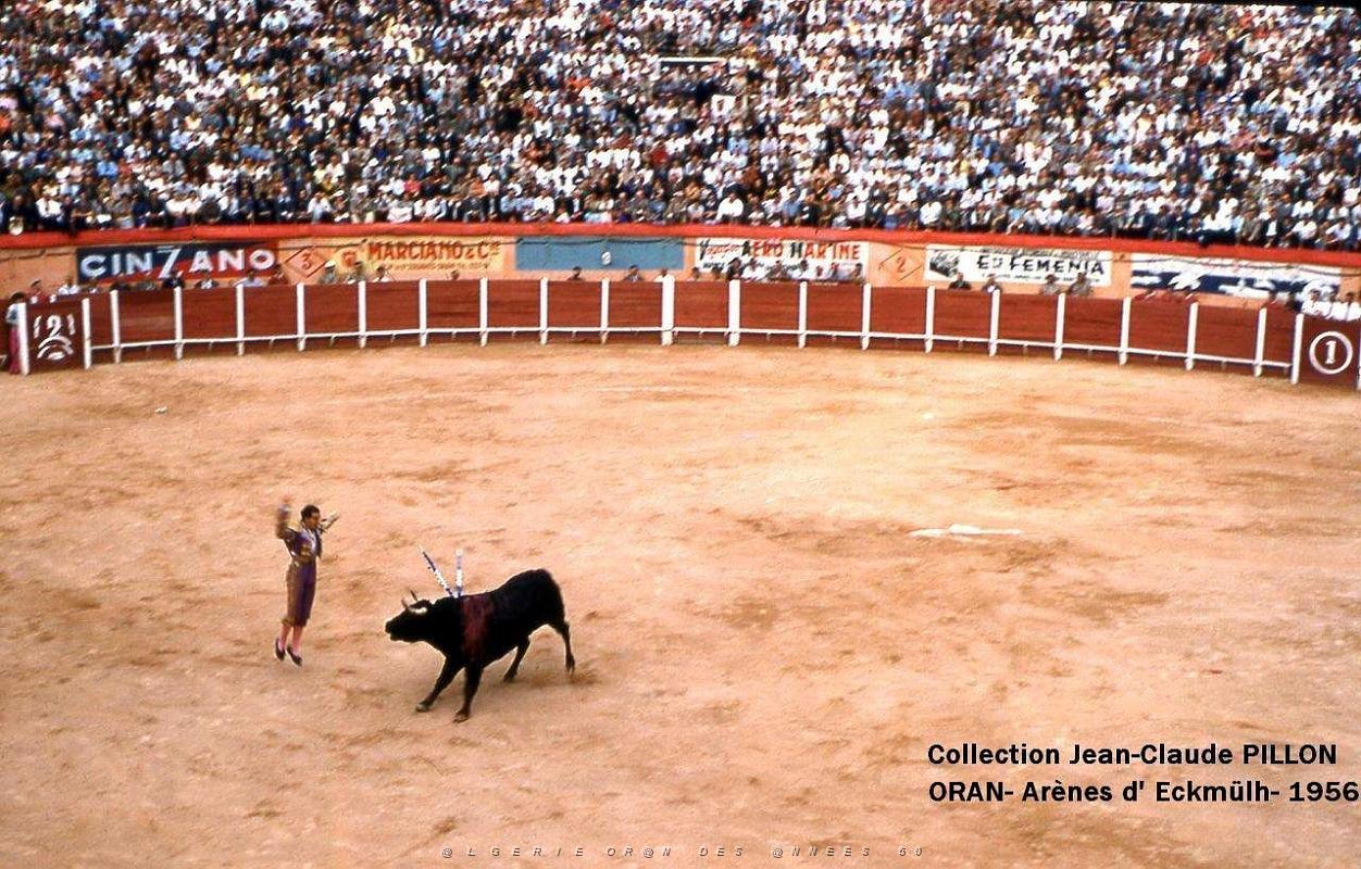 Oran- Arenes d' Eckmulh 28.JPG
